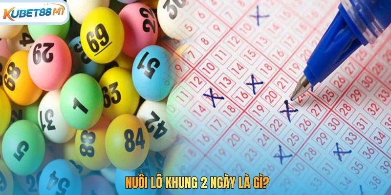 Nuôi lô khung 2 ngày là gì?